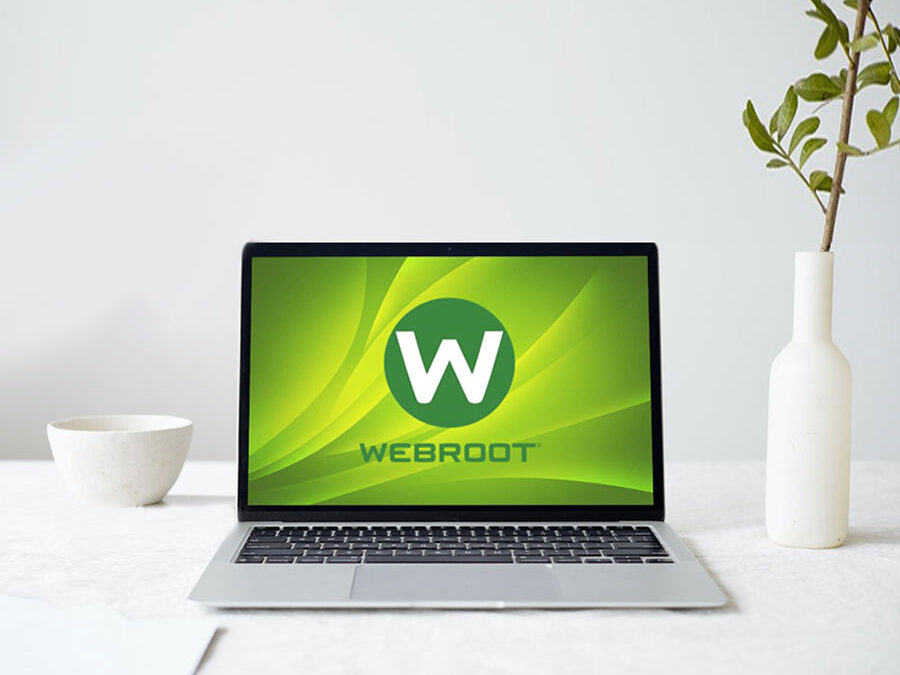 Anti-Virus Protection For Your PC or Laptop